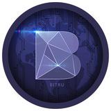 Russian Bit News