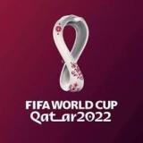 Чемпионат Мира по футболу 2022