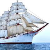 Морские истории ⛵️