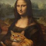 Swiss🐈Vatnik