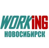 НОВОСИБИРСК Работа