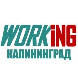 КАЛИНИНГРАД Работа