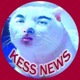 FAKEKESS