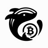 The Whale Post